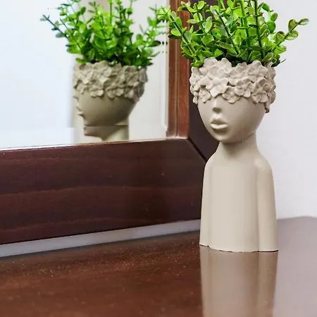 Mayo Zakynthos 酒店 *